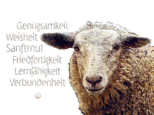 Schaf-werte-wandbild