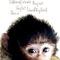 Schimpanse-werte-wandbild