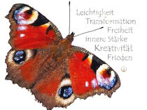 Krafttier Schmetterling - Die große Wandlung by Astrid Ryzek