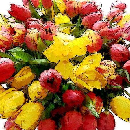 Tulpenstrauss-rot-gelb-ausschnitt-wandbild