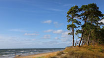 Ostseeküste von Rolf Müller
