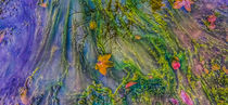 Algen im Wasser von Andrea Meister