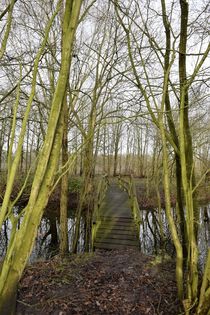 Weathered bridge in a forest von Maud de Vries