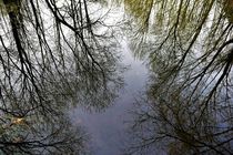Reflection of trees in water von Maud de Vries