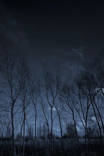 Mysterious trees with very small moon by Maud de Vries