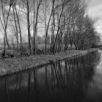 Row of bare trees reflecting in water by Maud de Vries