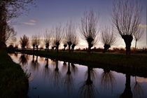 Willow trees reflecting in the water at sunset von Maud de Vries