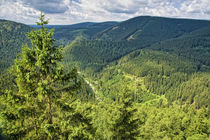 Blick über den Harz von Rolf Müller
