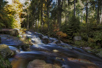 Fluss im Herbstwald by Rolf Müller