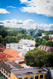 Rooftops of Tartu by Marie Selissky
