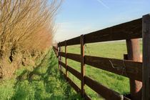Wooden farmers fence in meadow von Maud de Vries