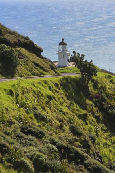 Neuseeland-cape-reinga-lighthouse-6