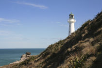 Neuseeland castle Point Lighthouse von Rolf Müller