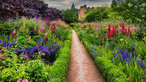 Summer Border by Colin Metcalf