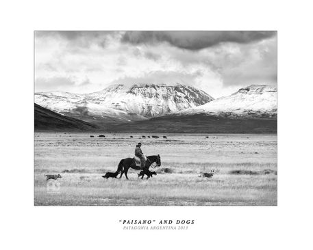 Paisano-and-dogs-patagonia