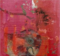 red parrot ?s dream von gaby roter