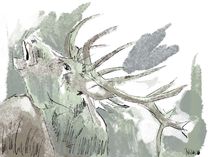 Hirsch Deer by Thomas Neumann