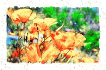 Mohnblüten in Aquarell by havelmomente