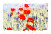 Rote Mohnblüten in Aquarell by havelmomente