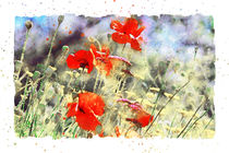 Rote Rote Mohnblüten in Aquarell by havelmomente