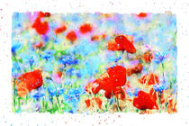 Rote Mohnblumen und blaue Kornblumen. by havelmomente