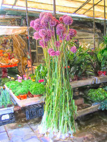 Markthalle von Porto mit Knoblauch Pflanzen by havelmomente