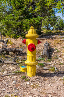 The Hydrant by inside-gallery