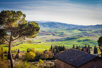 Bucolic Tuscan landscape by Marie Selissky