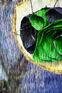 Abstract image in violet and green by Marie Selissky