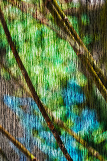 'Nature Green abstract' von Marie Selissky