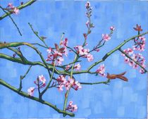 Blossoming Almond Tree 2017 von Anthony Padgett