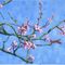 13-blossoming-almond-tree-2017-by-anthony-d-padgett-after-van-gogh-saint-remy-1890
