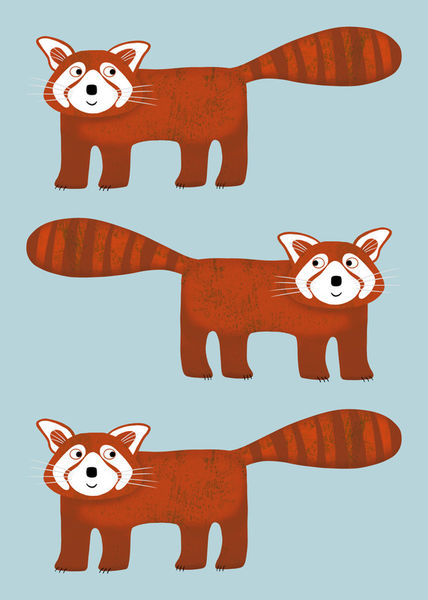 Red-panda-displate