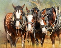 Clydesdale Conversation by Trudi Simmonds
