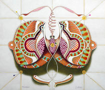 Circular butterfly by federico cortese