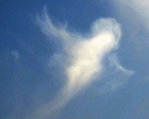 Angel-in-the-sky