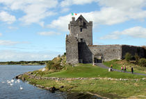 Dunguaire Castle County Galway Ireland 16 by GEORGE ELLIS