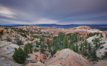 Rock towers Hoodoo in National Park Bryce Canyon, USA by Bastian Linder