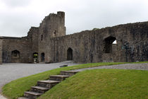 Roscrea Castle Ruins Roscrea County Clare Ireland 01 by GEORGE ELLIS