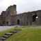 Roscrea-castle-ruins-roscrea-county-clare-ireland-01