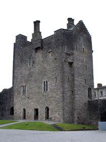 Roscrea Castle Ruins Roscrea County Clare Ireland 03 by GEORGE ELLIS