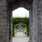 Roscrea-castle-ruins-roscrea-county-clare-ireland-08