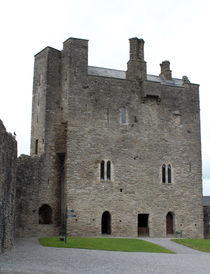 Roscrea Castle Ruins Roscrea County Clare Ireland 14 by GEORGE ELLIS