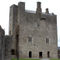 Roscrea-castle-ruins-roscrea-county-clare-ireland-14