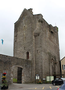 Roscrea Castle Ruins Roscrea County Clare Ireland 15 von GEORGE ELLIS