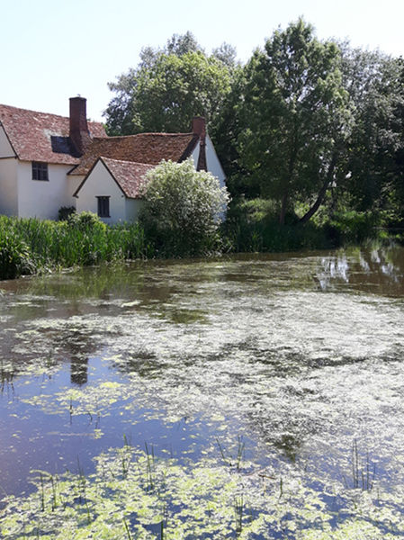 Willy-lotts-cottage-east-bergholt-suffolk-d