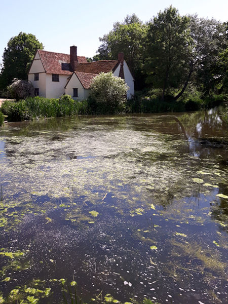 Willy-lotts-cottage-east-bergholt-suffolk-e
