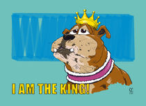 Ich bin der König! by Rupert Schneider