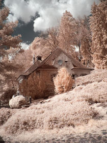 Romantisches Haus am Hang mit Bäumen von bauer-photography
