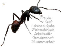 Krafttier Ameise schwarz - Seinen Platz einnehmen von Astrid Ryzek